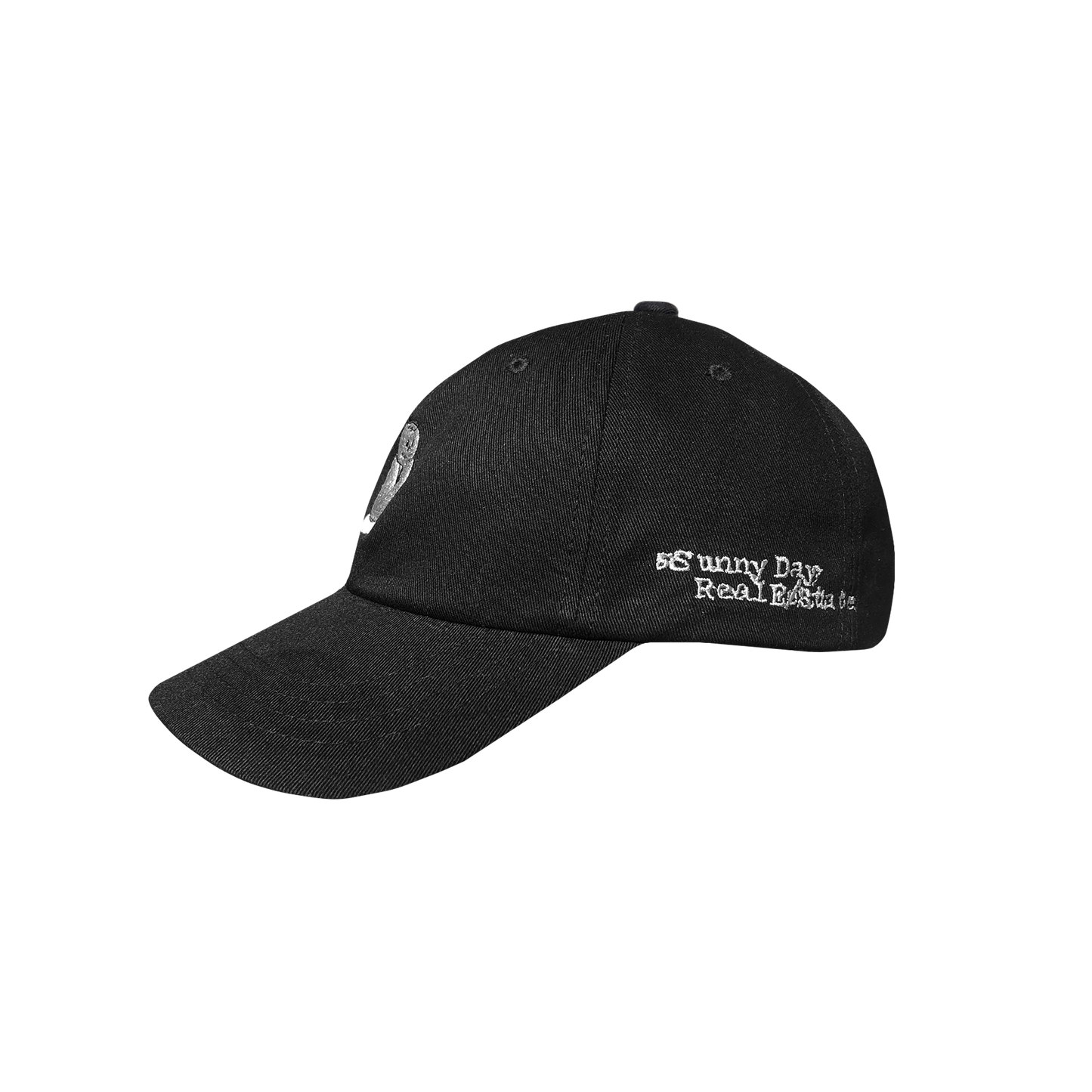 Diary Dad Hat