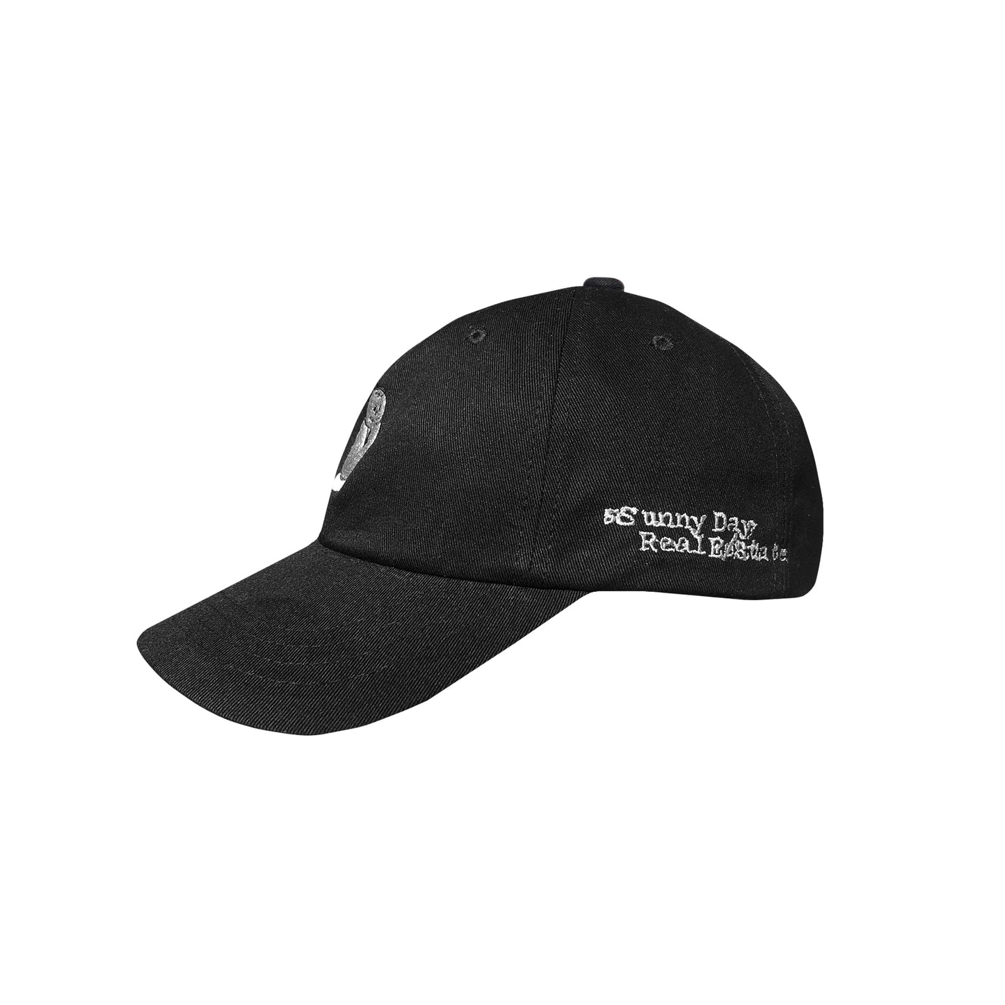 Diary Dad Hat